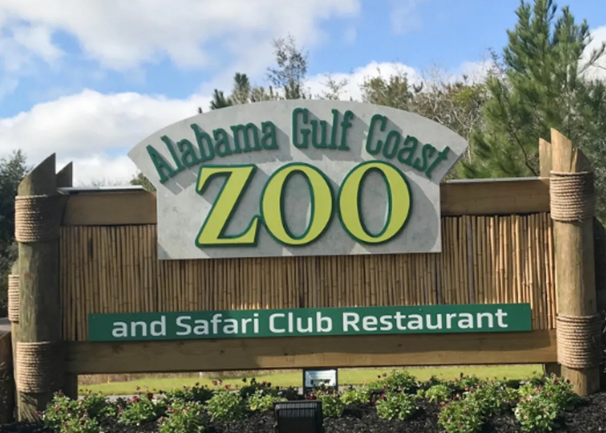 A vibrant exterior shot of the Alabama Gulf Coast Zoo entrance, highlighted by a large sign and a welcoming flowerbed, with the Safari Club Restaurant sign beneath. The bamboo-style fencing and cheerful landscaping make it clear this is a family-friendly attraction.